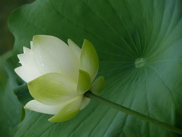 一代人（组诗）