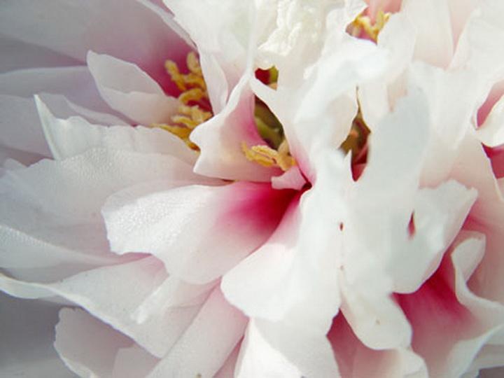 汉唐雄关的孤月们1-5（童话组诗7首）