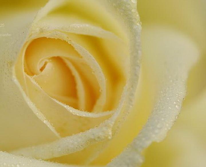 祖国母亲（组诗4首）