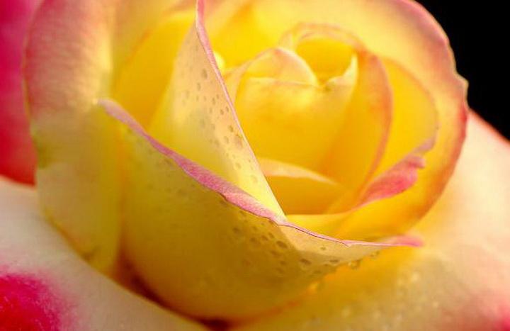 我和我的祖国（长诗）