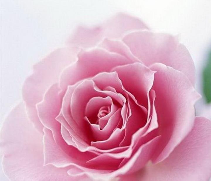 祖国正扬帆（外2首）