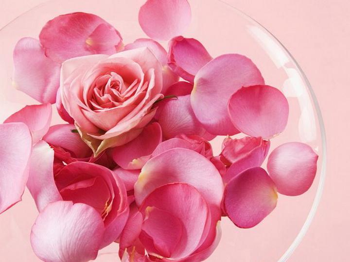 海洋科幻童诗（组诗7组35首）第一组