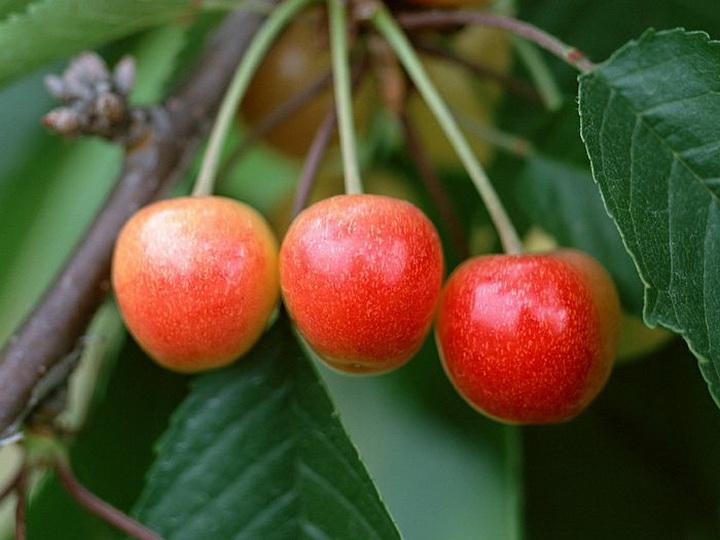 第3组．海洋幼儿园奇妙日（组诗5首）