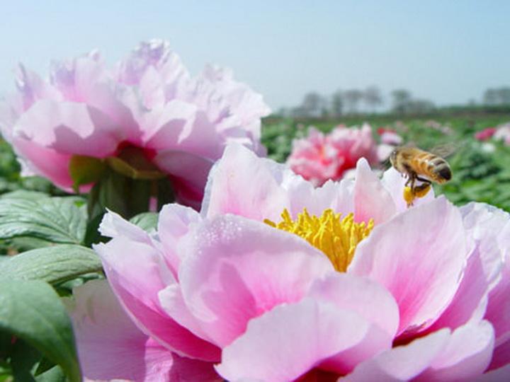 第4组：海底变形记（组诗5首）