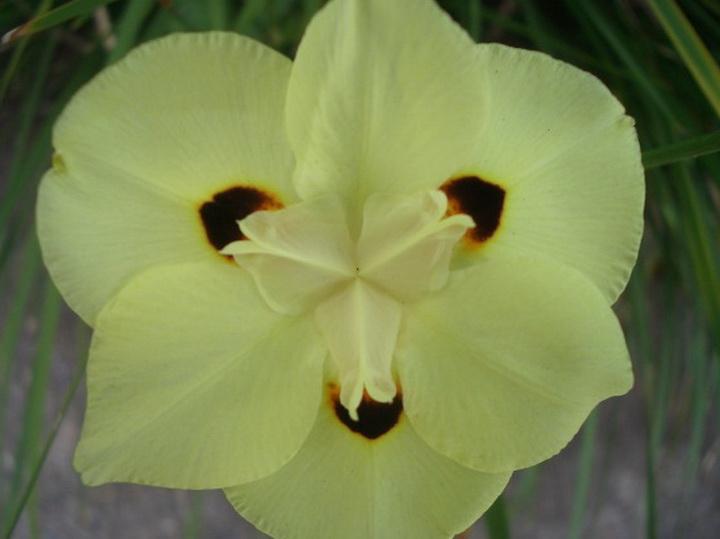 华东中秋怀旧1-4（组诗8首）