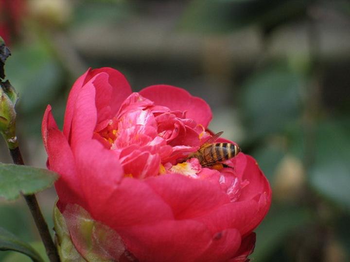 二.长城大刀（组诗8首）