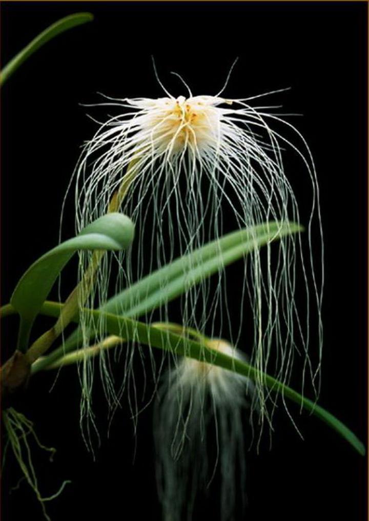 二. 惊堂雷（抗战童诗10首）