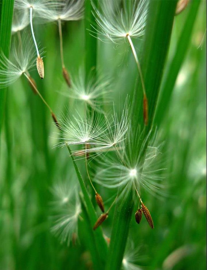 我把诗写在海上（童话诗8首）1.    我把诗写在海上