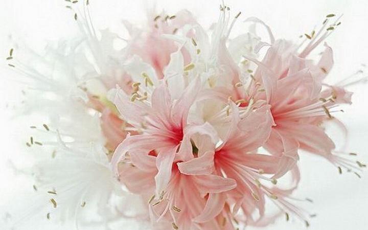 3.我的诗在海上冲浪