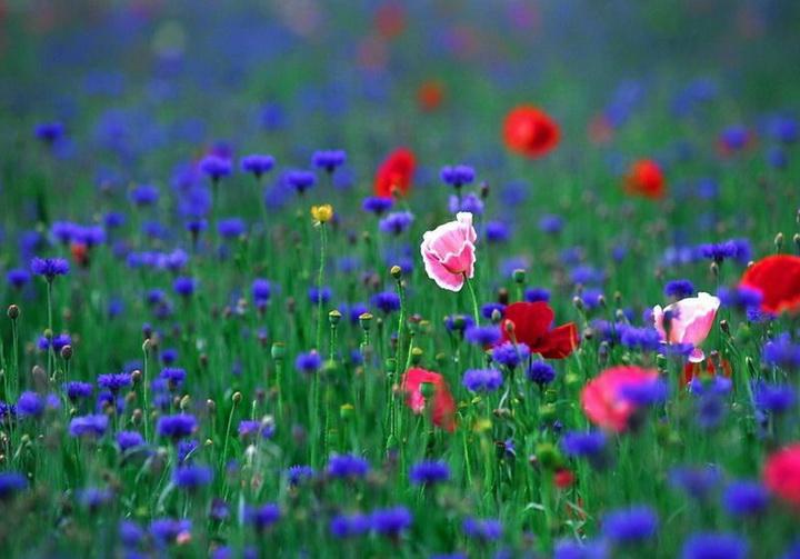 突围（短篇小说）（上）