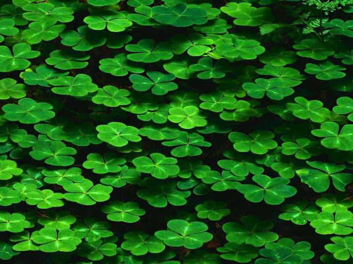 突围（短篇小说）（下）