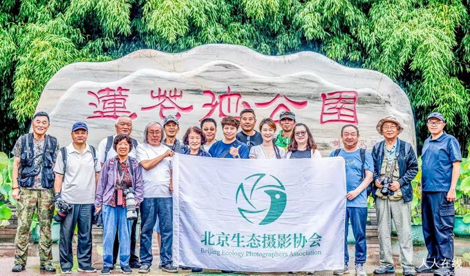 北京生态摄影协会莲花池公园荷花摄影采风(摄影作品欣赏)