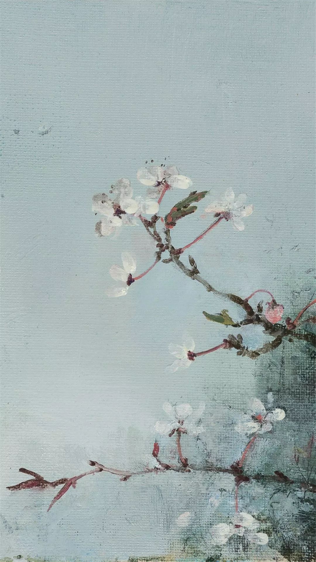 花中之魁——梅花