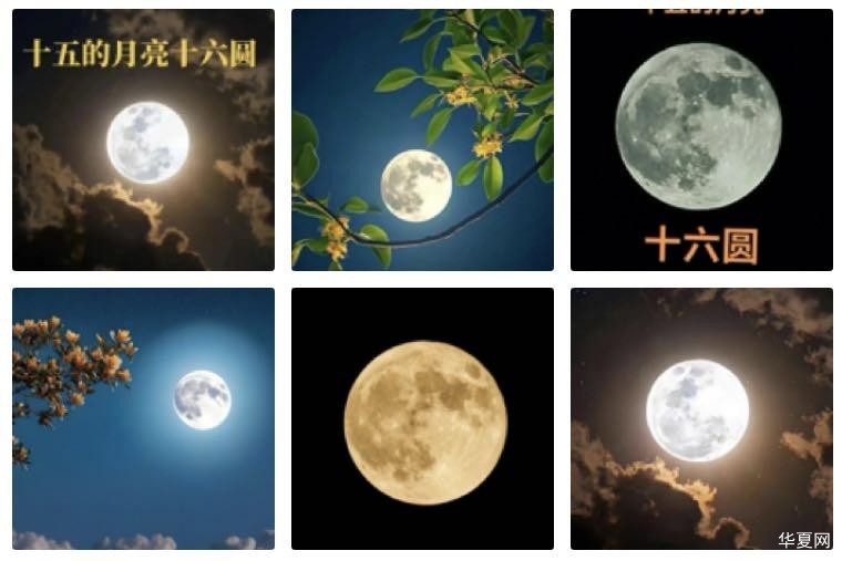 竹枝·十五月儿十六圆