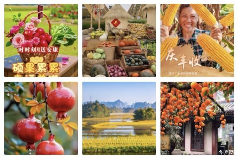 思佳客·丰收季节