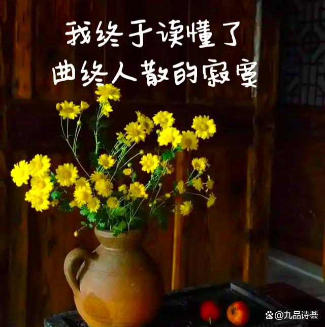 《我终于读懂了曲终人散的寂寞》