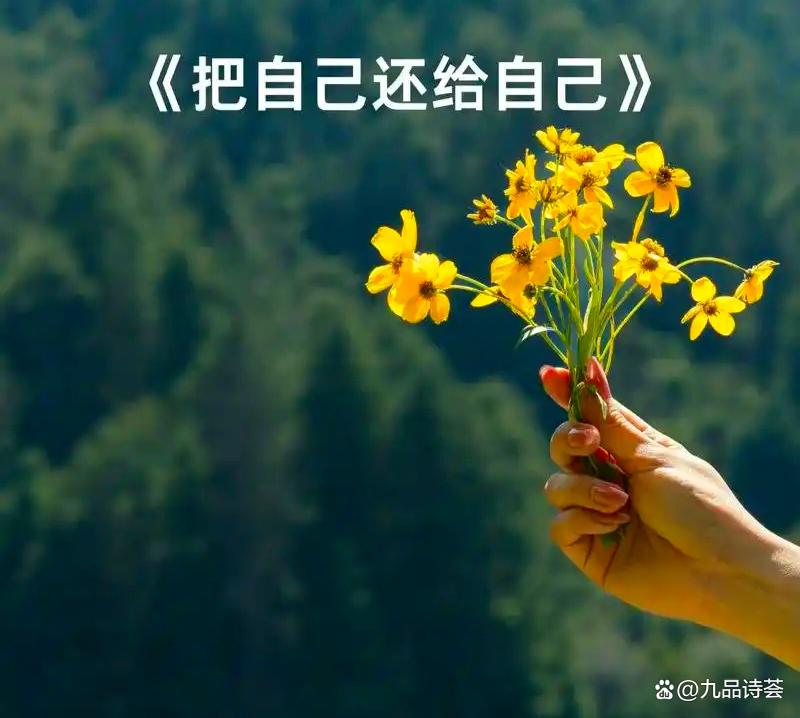 《夜晚，把自己还给自己》