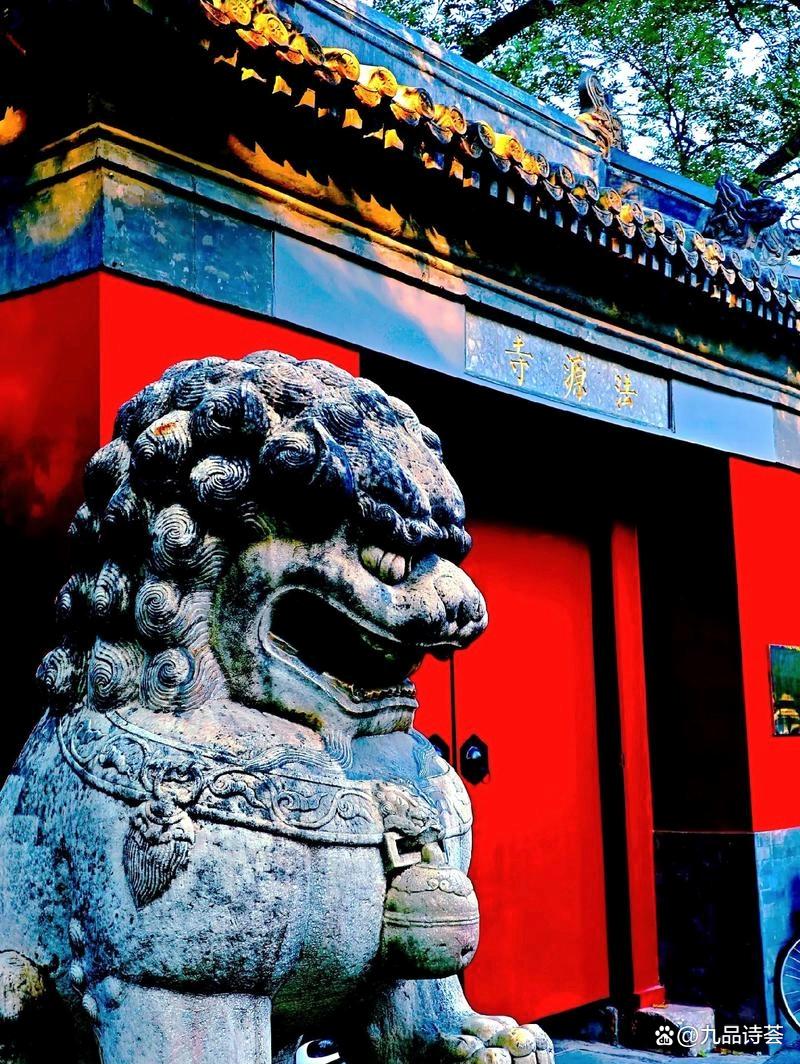 《五月微雨，丁香已落——走进法源寺》