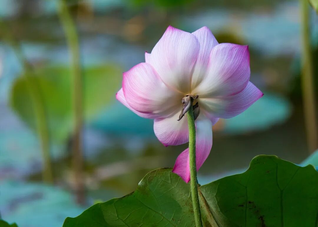 社会潜规则大全（必读）